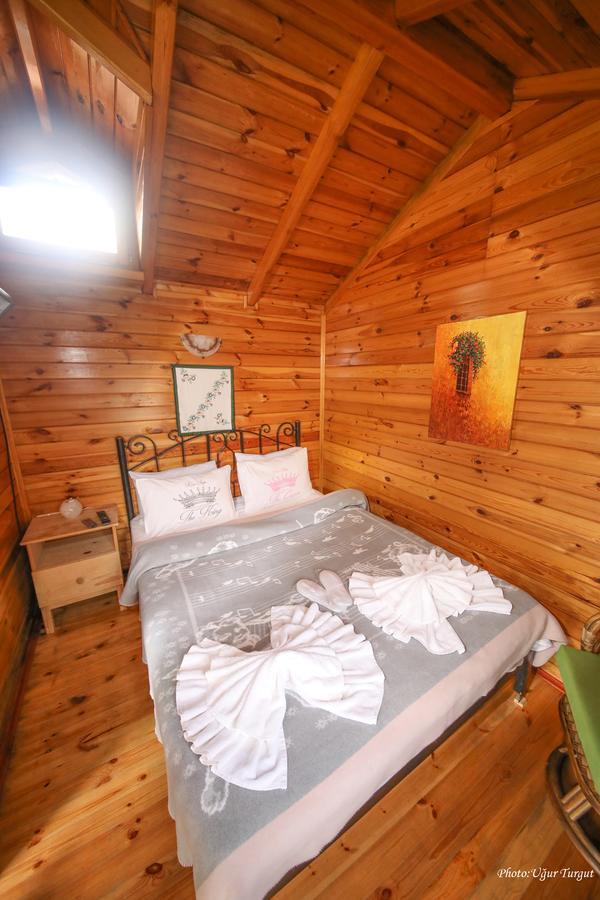 Tartaruga Motel Goce Eksteriør bilde